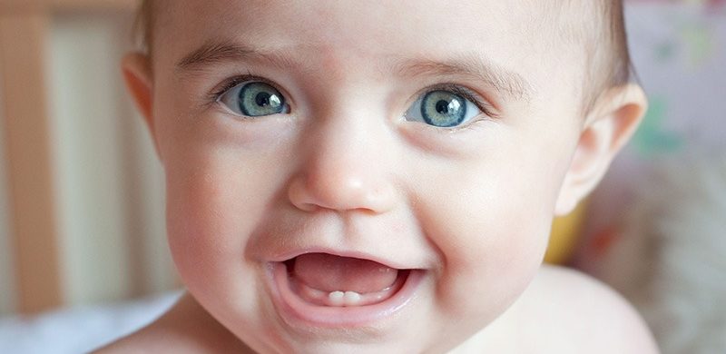 dinti-de-lapte dinti-de-lapte